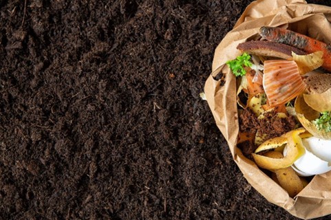 CleanChoice Energy Reviews the Top Composters to Help Reduce Your Carbon Footprint